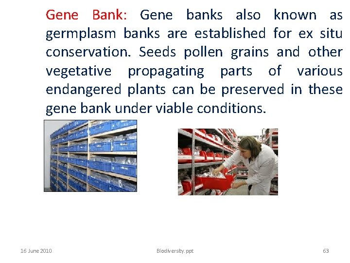  Gene Bank: Gene banks also known as germplasm banks are established for ex
