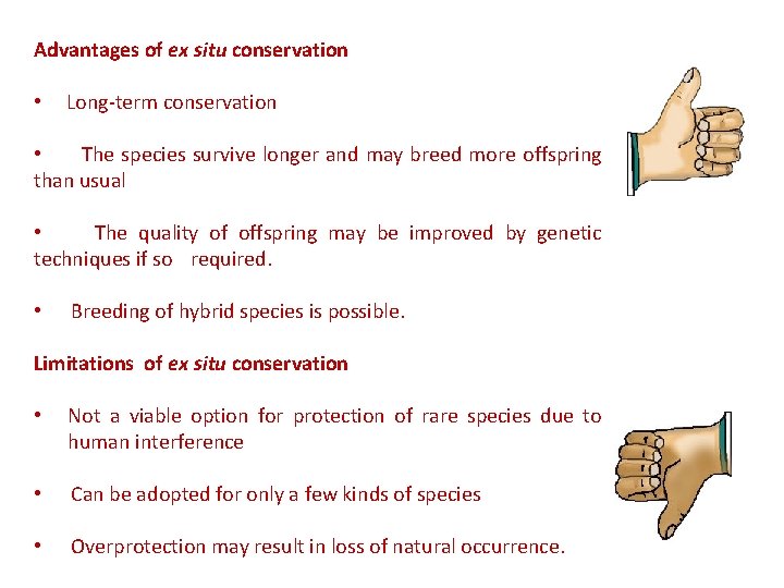 Advantages of ex situ conservation • Long-term conservation • The species survive longer and