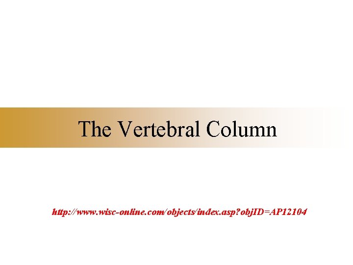 The Vertebral Column http: //www. wisc-online. com/objects/index. asp? obj. ID=AP 12104 