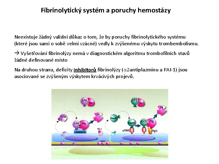 Fibrinolytický systém a poruchy hemostázy Neexistuje žádný validní důkaz o tom, že by poruchy
