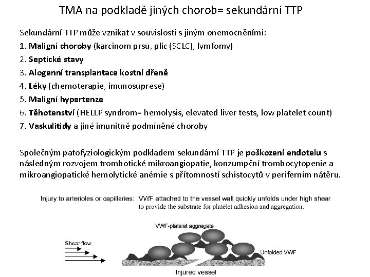 TMA na podkladě jiných chorob= sekundární TTP Sekundární TTP může vznikat v souvislosti s