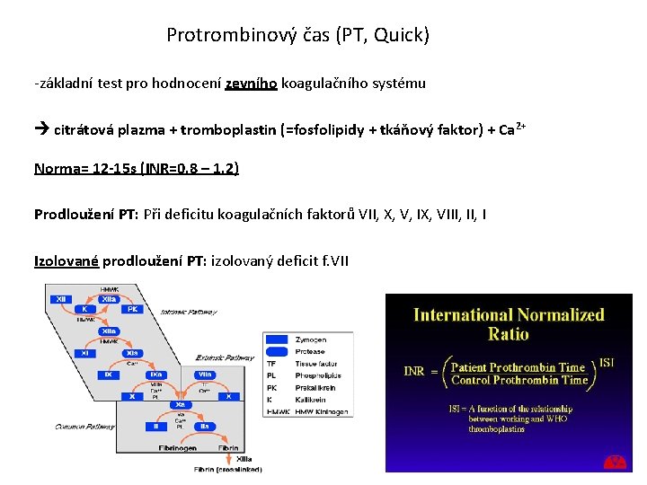 Protrombinový čas (PT, Quick) -základní test pro hodnocení zevního koagulačního systému citrátová plazma +