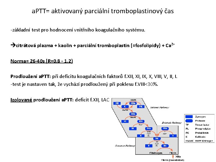 a. PTT= aktivovaný parciální tromboplastinový čas -základní test pro hodnocení vnitřního koagulačního systému. citrátová