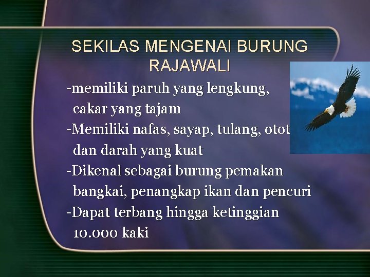 SEKILAS MENGENAI BURUNG RAJAWALI -memiliki paruh yang lengkung, cakar yang tajam -Memiliki nafas, sayap,