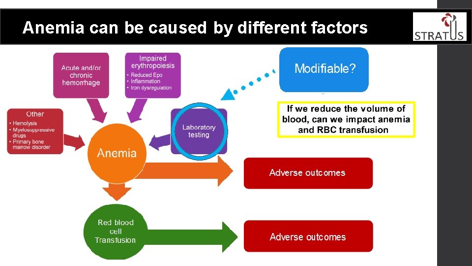  Anemia can be caused by different factors 