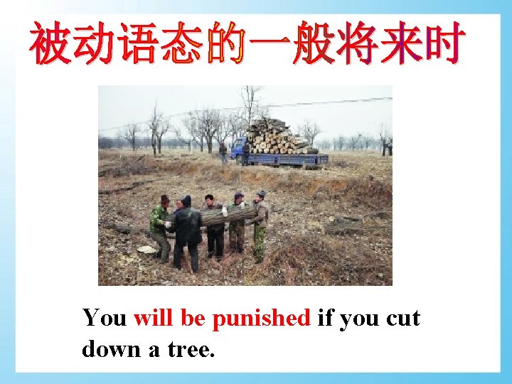 You will be punished if you cut down a tree. 