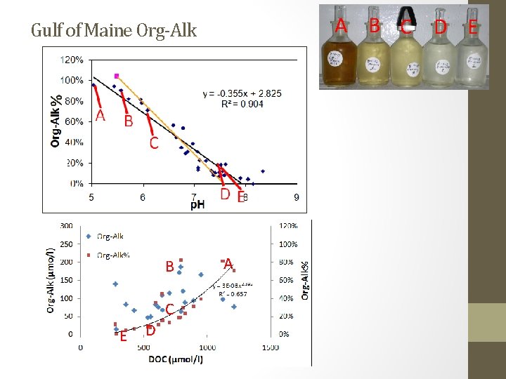 A B C D E % Gulf of Maine Org-Alk B C E D