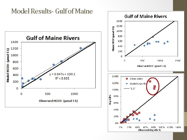 Model Results- Gulf of Maine 