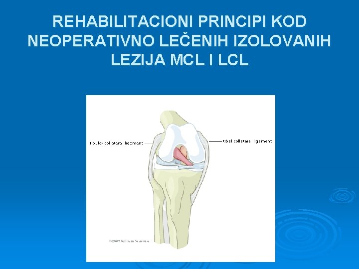 REHABILITACIONI PRINCIPI KOD NEOPERATIVNO LEČENIH IZOLOVANIH LEZIJA MCL I LCL 