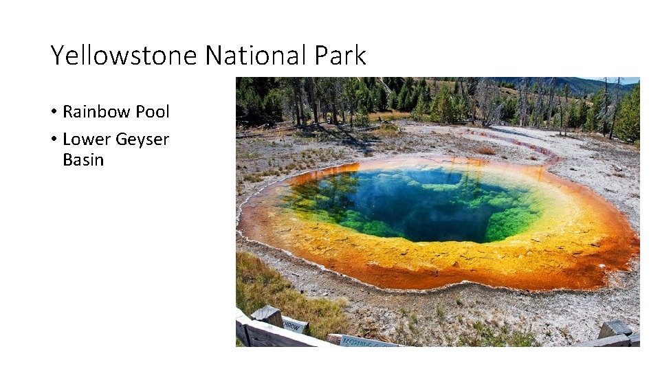 Yellowstone National Park • Rainbow Pool • Lower Geyser Basin 