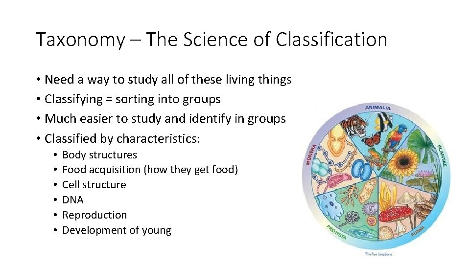 Taxonomy – The Science of Classification • Need a way to study all of