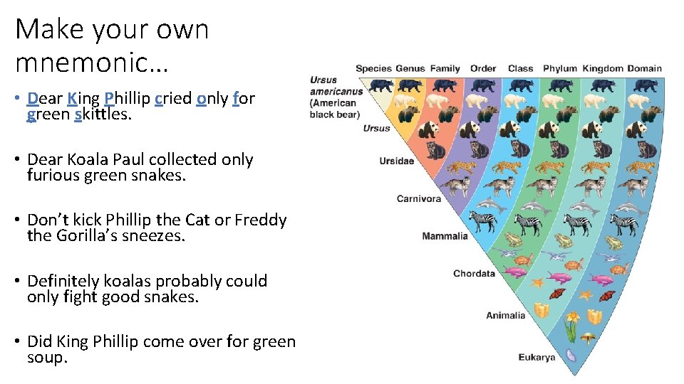Make your own mnemonic… • Dear King Phillip cried only for green skittles. •