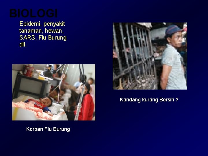 BIOLOGI Epidemi, penyakit tanaman, hewan, SARS, Flu Burung dll. Kandang kurang Bersih ? Korban BIOLOGI Epidemi, penyakit tanaman, hewan, SARS, Flu Burung dll. Kandang kurang Bersih ? Korban
