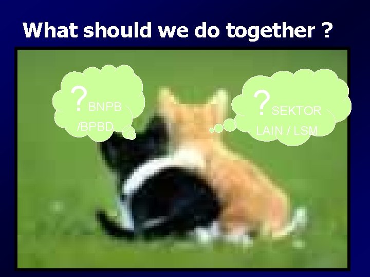 What should we do together ? ? BNPB /BPBD ? SEKTOR LAIN / LSM What should we do together ? ? BNPB /BPBD ? SEKTOR LAIN / LSM