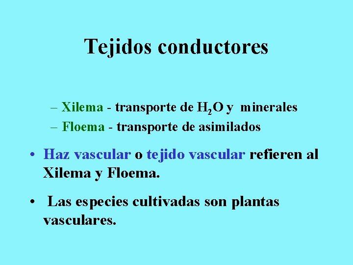 Tejidos conductores – Xilema - transporte de H 2 O y minerales – Floema