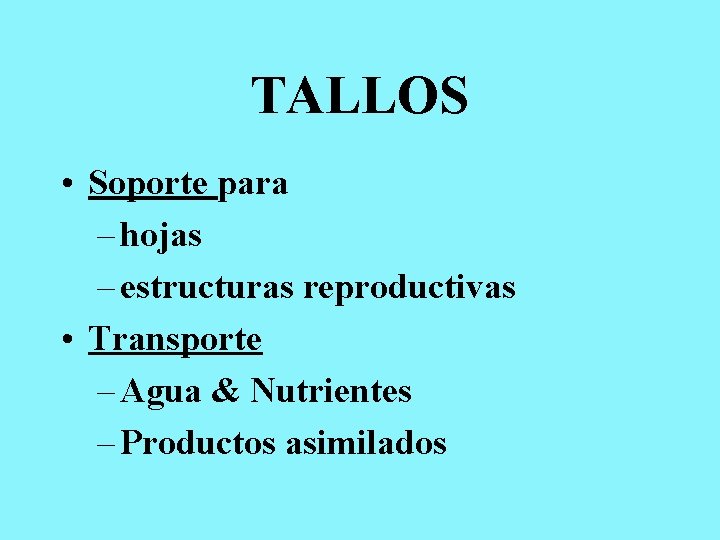 TALLOS • Soporte para – hojas – estructuras reproductivas • Transporte – Agua &