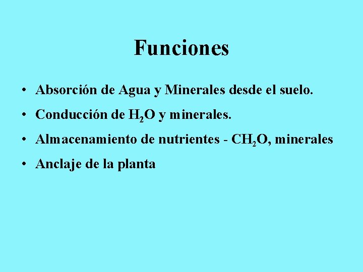 Funciones • Absorción de Agua y Minerales desde el suelo. • Conducción de H