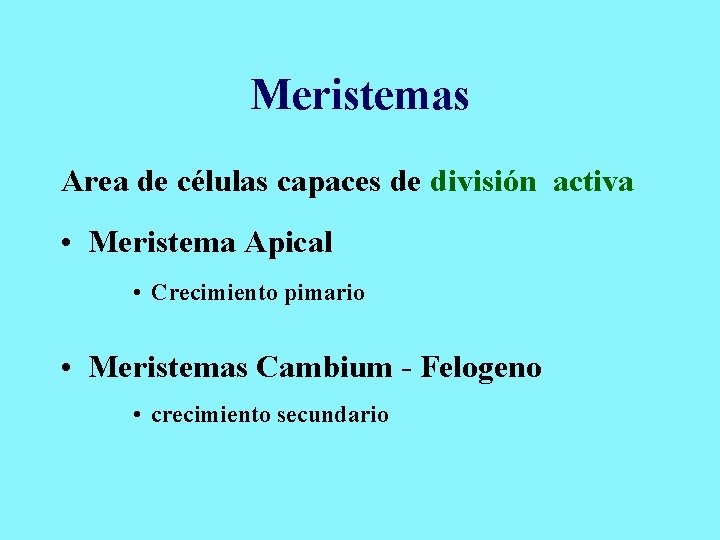 Meristemas Area de células capaces de división activa • Meristema Apical • Crecimiento pimario