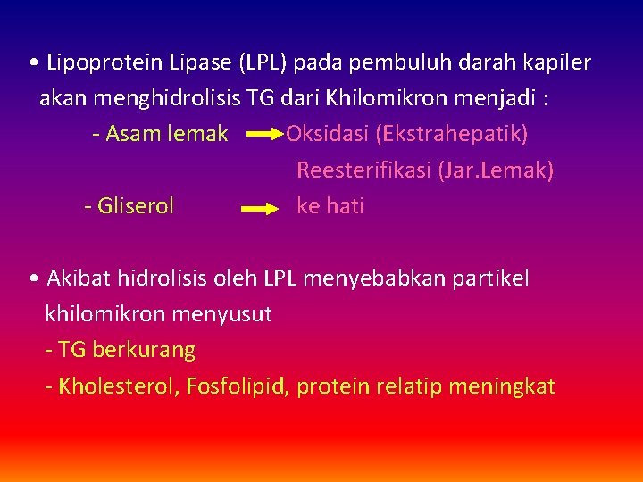  • Lipoprotein Lipase (LPL) pada pembuluh darah kapiler akan menghidrolisis TG dari Khilomikron