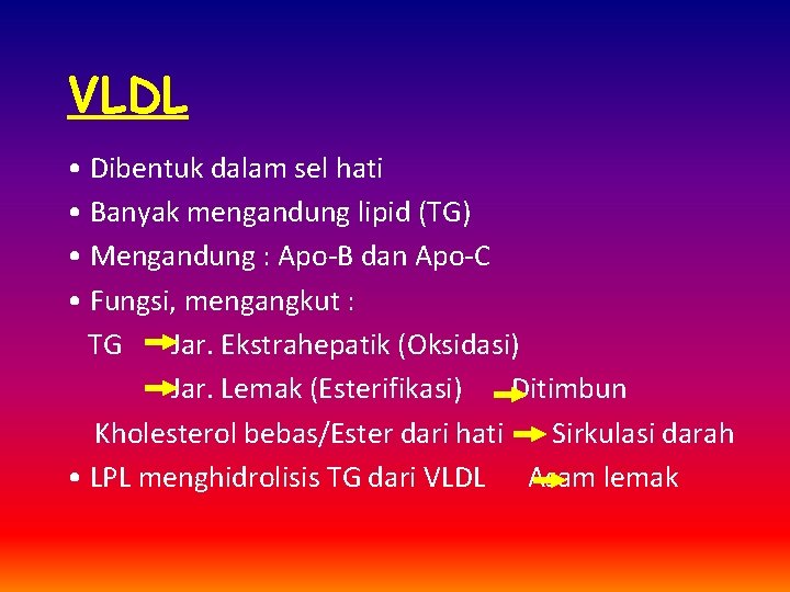 VLDL • Dibentuk dalam sel hati • Banyak mengandung lipid (TG) • Mengandung :