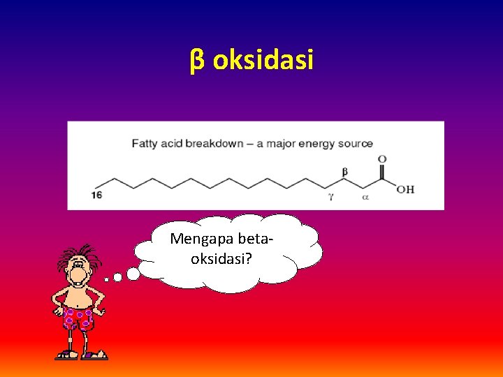 β oksidasi Mengapa betaoksidasi? 