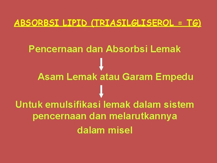 ABSORBSI LIPID (TRIASILGLISEROL = TG) Pencernaan dan Absorbsi Lemak Asam Lemak atau Garam Empedu