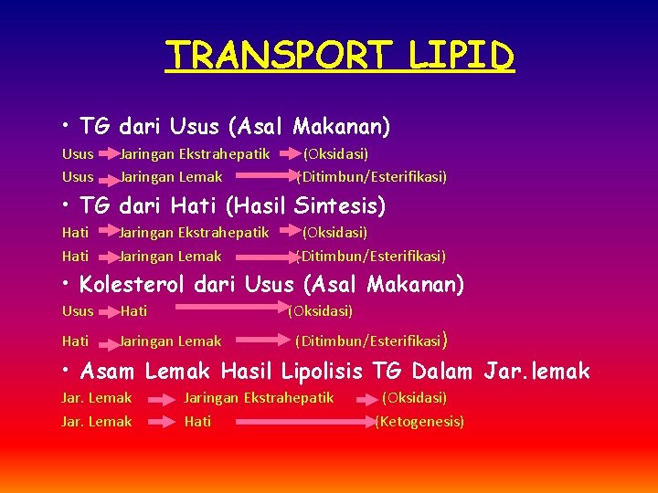 TRANSPORT LIPID • TG dari Usus (Asal Makanan) Usus Jaringan Ekstrahepatik Jaringan Lemak (Oksidasi)