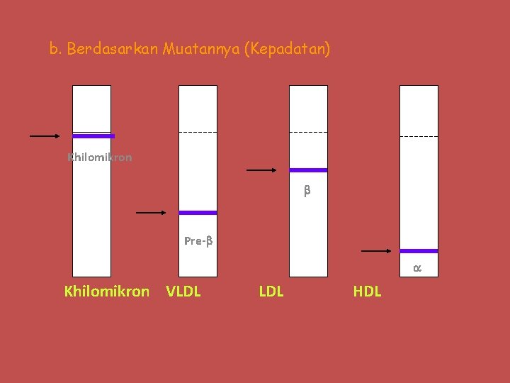 b. Berdasarkan Muatannya (Kepadatan) Khilomikron Pre- Khilomikron VLDL HDL 