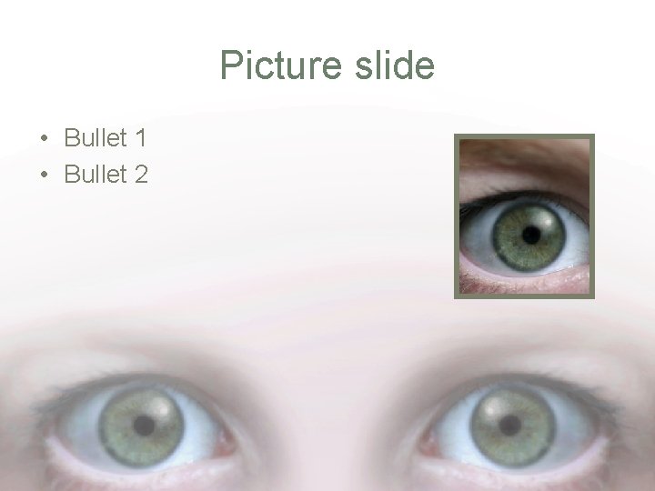 Picture slide • Bullet 1 • Bullet 2 