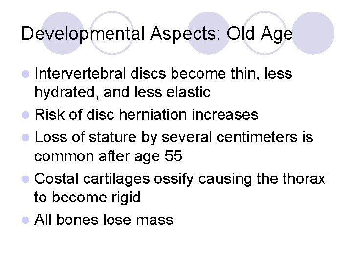 Developmental Aspects: Old Age l Intervertebral discs become thin, less hydrated, and less elastic