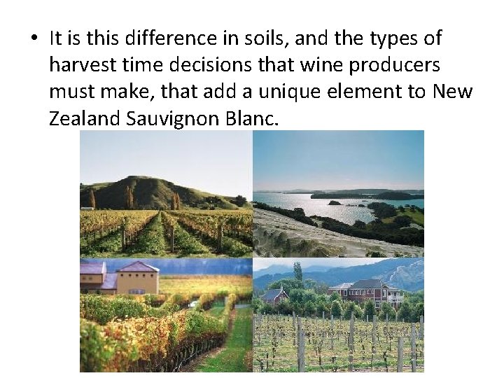  • It is this difference in soils, and the types of harvest time