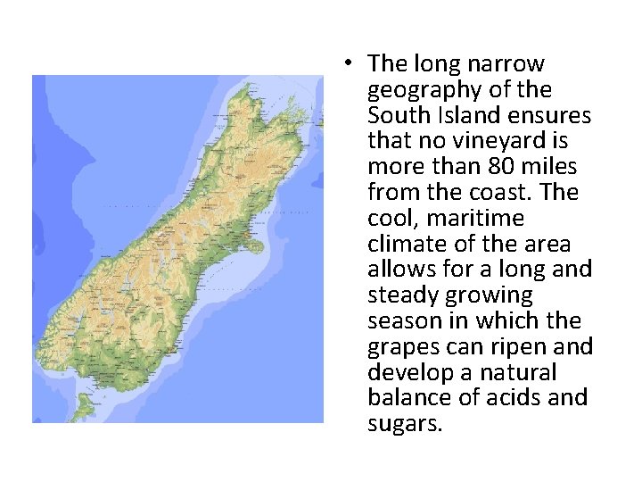  • The long narrow geography of the South Island ensures that no vineyard