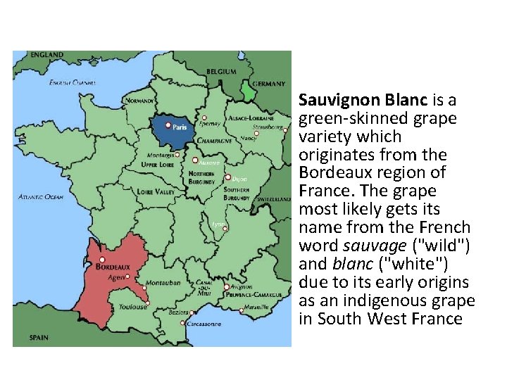  • Sauvignon Blanc is a green-skinned grape variety which originates from the Bordeaux