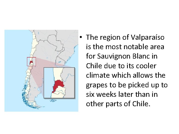  • The region of Valparaíso is the most notable area for Sauvignon Blanc