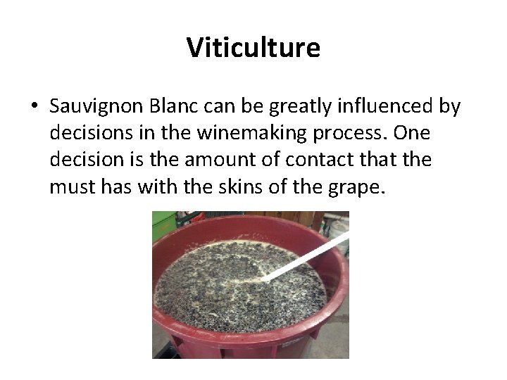 Viticulture • Sauvignon Blanc can be greatly influenced by decisions in the winemaking process.