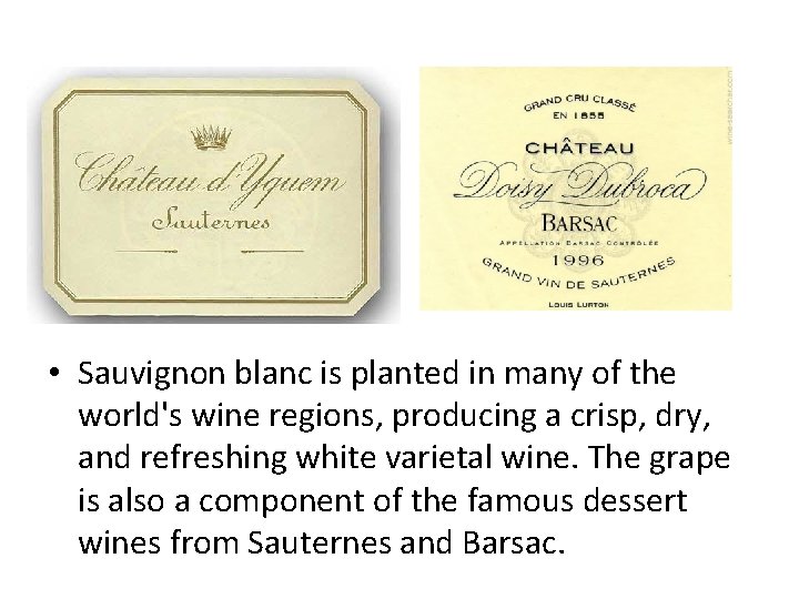  • Sauvignon blanc is planted in many of the world's wine regions, producing