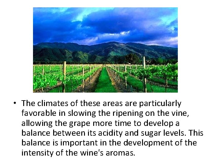  • The climates of these areas are particularly favorable in slowing the ripening