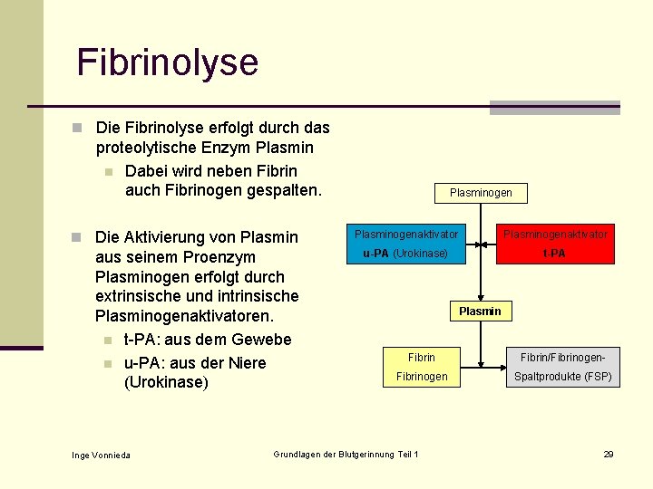 Fibrinolyse n Die Fibrinolyse erfolgt durch das proteolytische Enzym Plasmin n Dabei wird neben