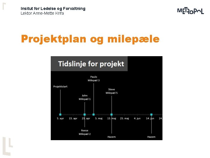 Insitut for Ledelse og Forvaltning Lektor Anne-Mette Krifa Projektplan og milepæle 