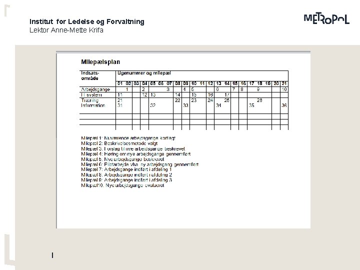 Institut for Ledelse og Forvaltning Lektor Anne-Mette Krifa 