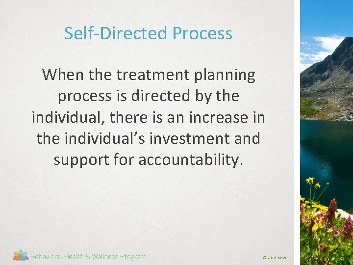 Self-Directed Process When the treatment planning process is directed by the individual, there is