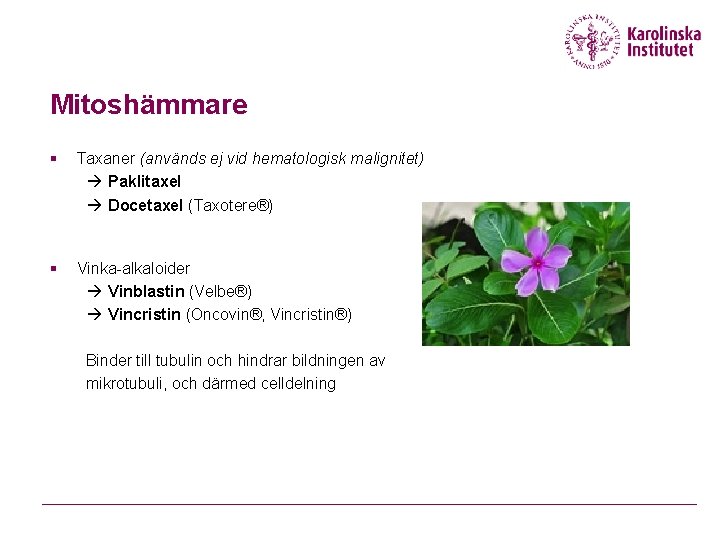 Mitoshämmare § Taxaner (används ej vid hematologisk malignitet) à Paklitaxel à Docetaxel (Taxotere®) §