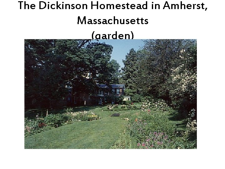 The Dickinson Homestead in Amherst, Massachusetts (garden) 