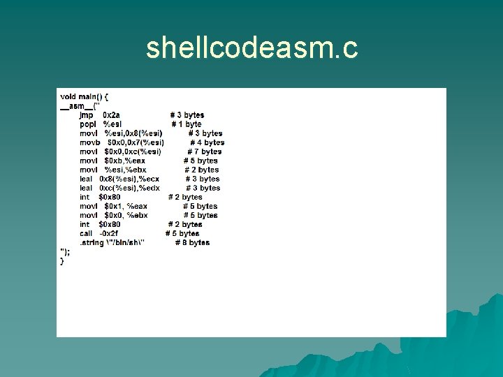 shellcodeasm. c 