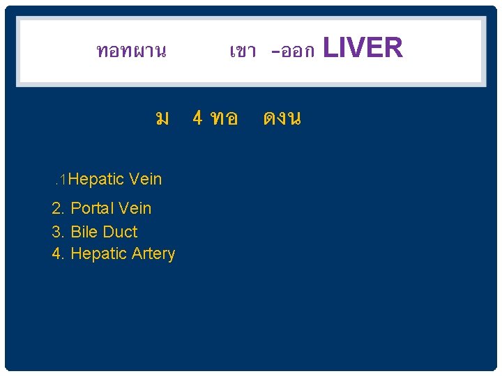 ทอทผาน เขา -ออก LIVER ม 4 ทอ ดงน. 1 Hepatic Vein 2. Portal Vein