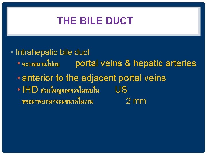 THE BILE DUCT • Intrahepatic bile duct • จะวงขนานไปกบ portal veins & hepatic arteries