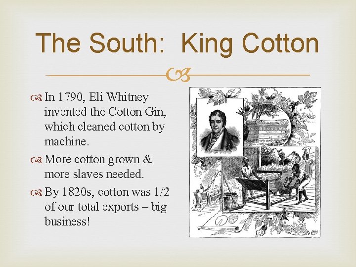 The South: King Cotton In 1790, Eli Whitney invented the Cotton Gin, which cleaned