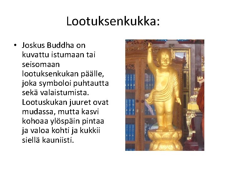 Lootuksenkukka: • Joskus Buddha on kuvattu istumaan tai seisomaan lootuksenkukan päälle, joka symboloi puhtautta