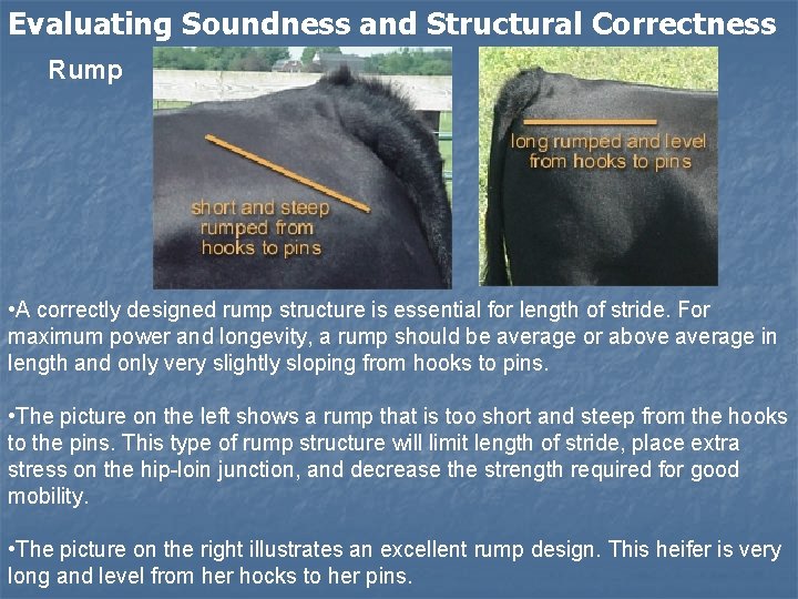  Evaluating Soundness and Structural Correctness Rump • A correctly designed rump structure is