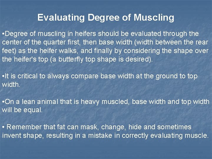 Evaluating Degree of Muscling • Degree of muscling in heifers should be evaluated through Evaluating Degree of Muscling • Degree of muscling in heifers should be evaluated through